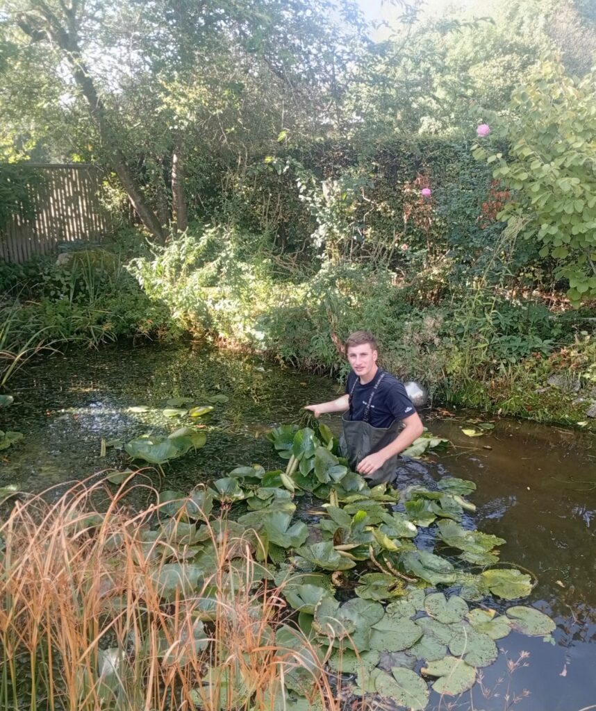 Gartenpflege durch Kilian – Mitarbeiter bei der fachgerechten Pflege eines Gartenteichs