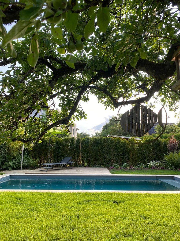 Poolbau Rottweil – chlorfreier RivieraPool mit Teichmeister-Biofilter, Gegenstromanlage und Natursteinterrasse